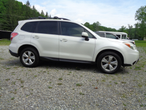 2015 Subaru Forester (1 of 4)